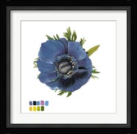 Brighton Blooms III Framed Print