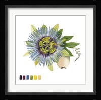 Brighton Blooms VI Framed Print