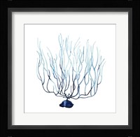 Fan de la Mer I Framed Print