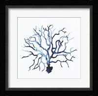 Fan de la Mer II Fine Art Print