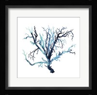 Fan de la Mer III Framed Print