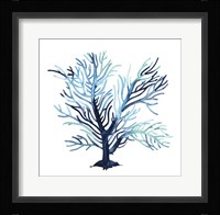 Fan de la Mer V Framed Print