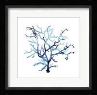 Fan de la Mer VI Framed Print