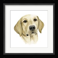 Human's Best Friend I Framed Print