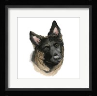 Human's Best Friend II Framed Print