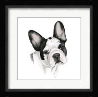 Human's Best Friend IV Framed Print
