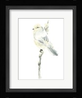 Avian Impressions I Framed Print