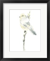 Avian Impressions I Framed Print