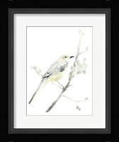 Avian Impressions II Framed Print