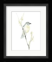 Avian Impressions III Framed Print