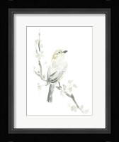 Avian Impressions IV Framed Print