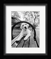 Never Doubt That You Can Fine Art Print