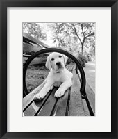 Never Doubt That You Can Framed Print