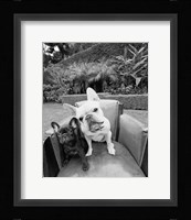 Always Friends Fine Art Print