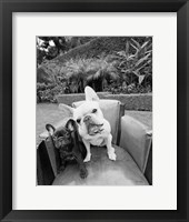 Always Friends Framed Print