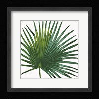 Welcome to Paradise XVI on White Framed Print