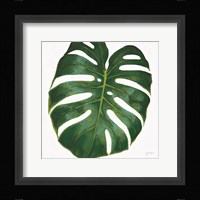 Welcome to Paradise XIII on White Framed Print