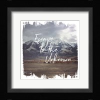 Wild Wishes IV Fine Art Print