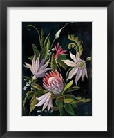 Flower Show I Framed Print