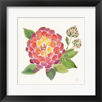 Tropical Fun Flowers II with Gold Framed Print