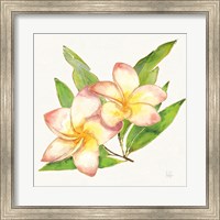 Tropical Fun Flowers I with Gold Fine Art Print