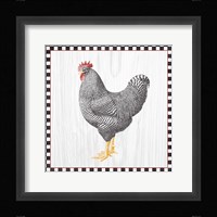 Home to Roost IV Framed Print