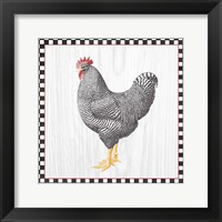 Home to Roost IV Framed Print