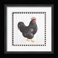 Home to Roost III Framed Print