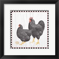 Home to Roost II Framed Print