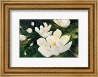 Magnolia Blooms No Petal Fine Art Print