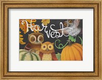 Harvest Owl IV Fine Art Print