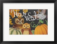 Harvest Owl IV Framed Print