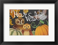 Harvest Owl IV Fine Art Print