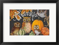Harvest Owl III Framed Print