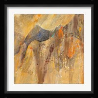 Canyon 3B Framed Print