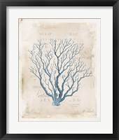 Sea Garden V Framed Print