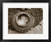 Cat in a Basket Fine Art Print