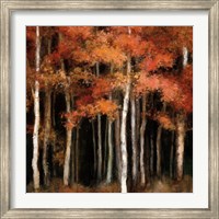 October Woods Fine Art Print