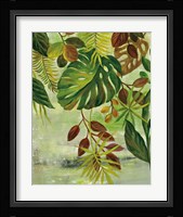 Tropical Greenery II Framed Print