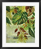 Tropical Greenery II Framed Print