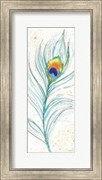 Peacock Garden V Fine Art Print