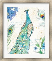 Peacock Garden I Fine Art Print
