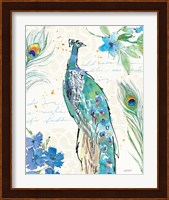 Peacock Garden II Fine Art Print