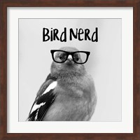Bird Nerd - Chaffinch Fine Art Print