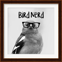 Bird Nerd - Chaffinch Fine Art Print