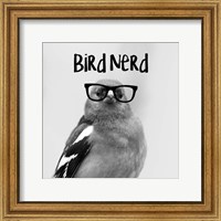 Bird Nerd - Chaffinch Fine Art Print