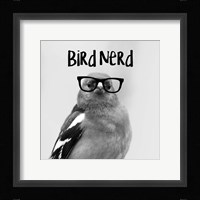 Bird Nerd - Chaffinch Framed Print