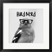 Bird Nerd - Chaffinch Framed Print