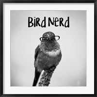 Bird Nerd - Hummingbird Fine Art Print