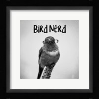 Bird Nerd - Hummingbird Framed Print
